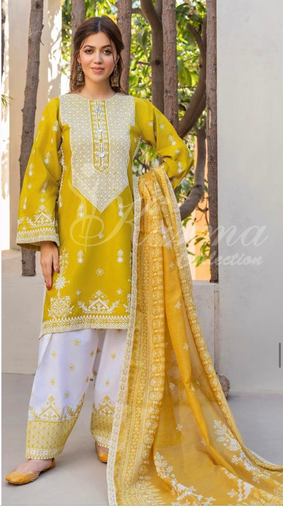 Karma 3 Piece Embroidered Suit